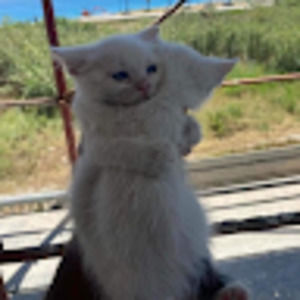 Meet your Posher, Vicky